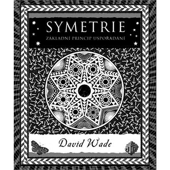 Symetrie: Základní princip uspořádání (978-80-7363-410-0)
