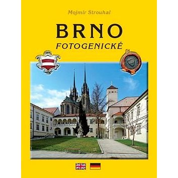 Brno fotogenické (978-80-85763-85-0)