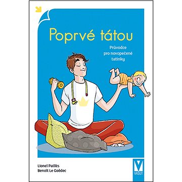 Poprvé tátou: průvodce pro novopečené tatínky (978-80-7541-073-3)