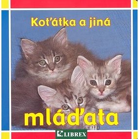 Koťátka a jiná mláďata (978-80-7228-613-3)