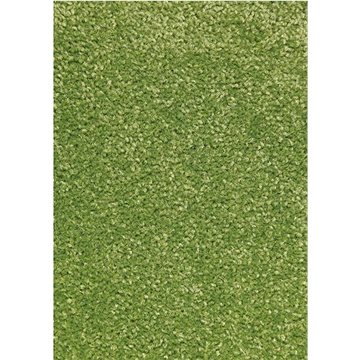 Kusový koberec Nasty 101149 (FSkob6352nad)