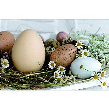 GOBA Prostírání plastové Velikonoční vajíčka 1000628 (1000628)