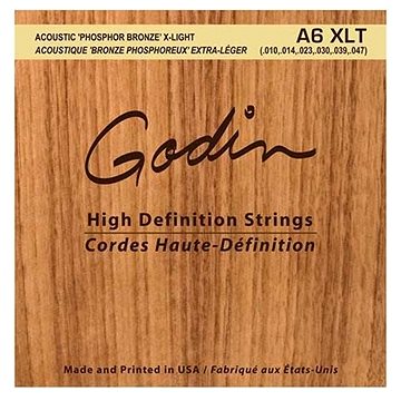 GODIN Strings Acoustic Guitar XLT (HN161503)