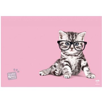 Studio Pets: Kočka - podložka na stůl (8435497228910)