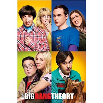 The Big Bang Theory - Teorie velkého třesku - Mosaico - plakát (8435497230081)