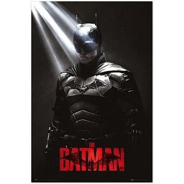 DC Comics - Batman - I Am The Shadows - plakát (8435497272982)