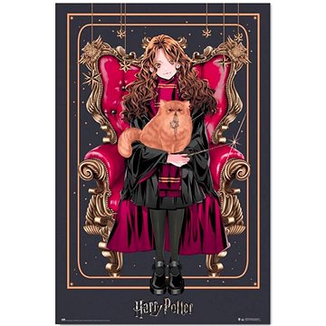 Harry Potter - Hermione - plakát (8435497283407)