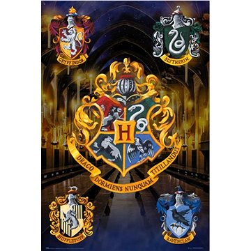 Harry Potter - Hogwarts - plakát (8435497277543)