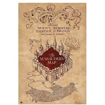 Harry Potter - The Marauders Map - plakát (8435497204020)