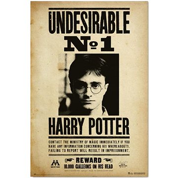 Harry Potter - Nežádoucí No.1 - plakát (8435497271992)