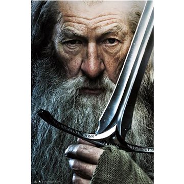The Lord Of The Rings - Pán prstenů - Gandalf - plakát (8435497276423)