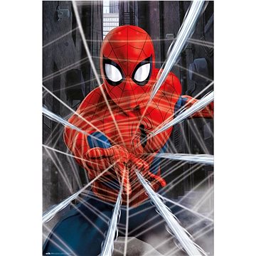 Marvel - Spiderman - Web - plakát (8435497277338)