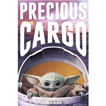 Star wars - Hvězdné války Tv Seriál The Mandalorian - Precious Cargo - plakát (8435497247782)