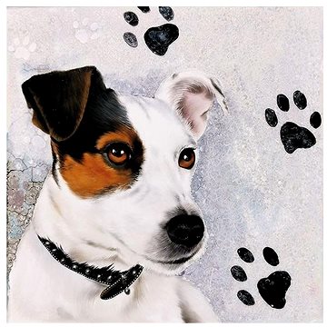 Goba ubrousky Jack Russell (3400101)