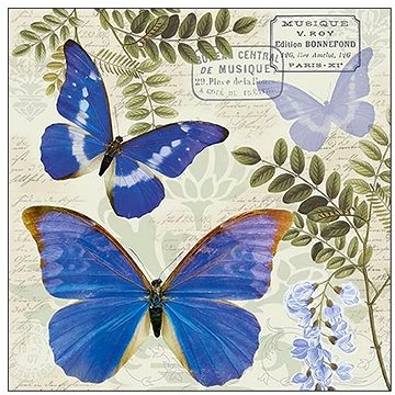 Goba ubrousky Modrý motýl (3400162)