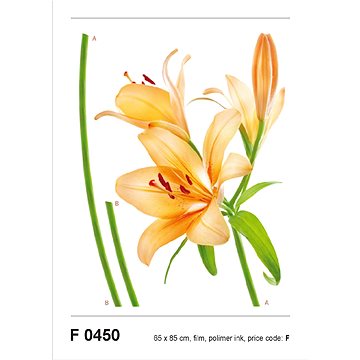 F0450 Samolepicí dekorace LILY ORANGE 65 x 85 cm (F0450)