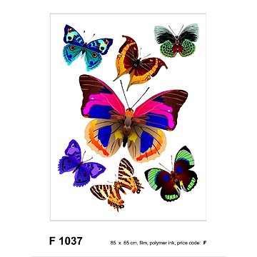 F1037 Samolepicí dekorace BUTTERFLIES 65 x 85 cm (F1037)