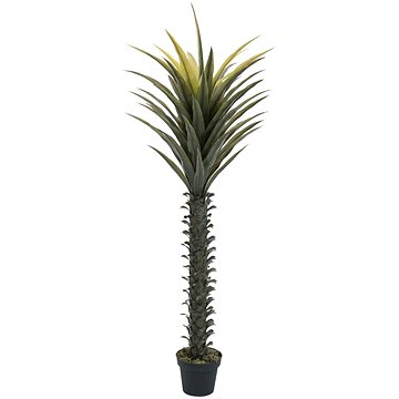 Juka palma, 165 cm (82600062)