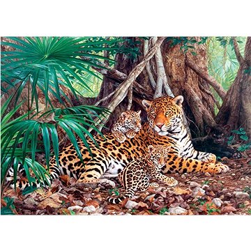 Castorland Puzzle Jaguáři v džungli 3000 dílků (300280)
