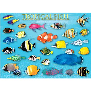 Eurographics Puzzle Tropické ryby 1000 dílků (6000-1173)
