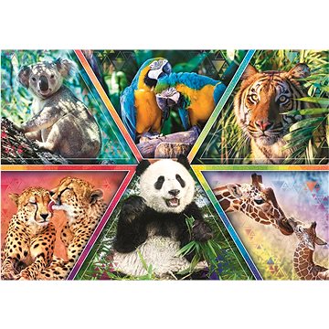 Trefl Puzzle Animal Planet: Království zvířat 1000 dílků (10672)