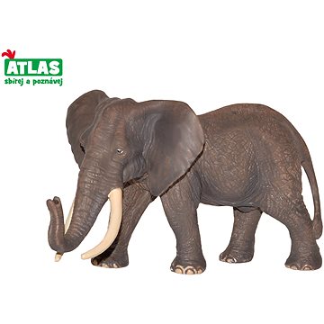 Atlas Slon africký (8590331018048)