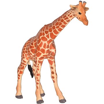Atlas Žirafa (8590331018130)