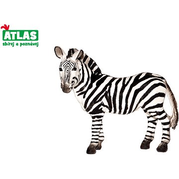 Atlas Zebra (8590331018192)