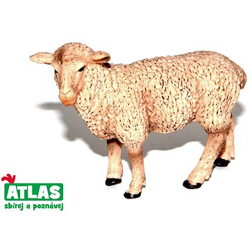 Atlas Ovce (8590331018611)