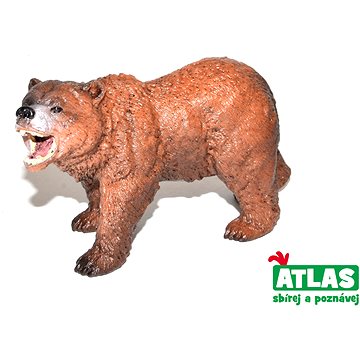 Atlas Medvěd Grizly (8590331018451)