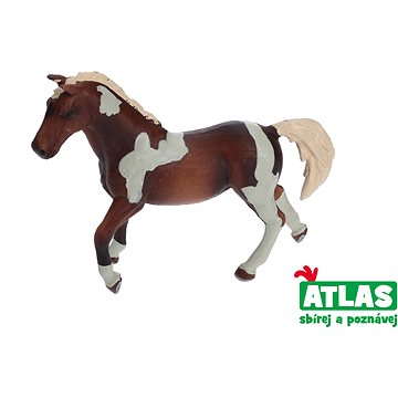 Atlas Kůň (8590331018642)