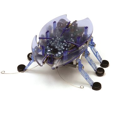 Hexbug Beetle - modrý (745178584173)