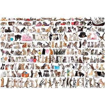 Puzzle Svět koček 2000 dílků (628136205801)