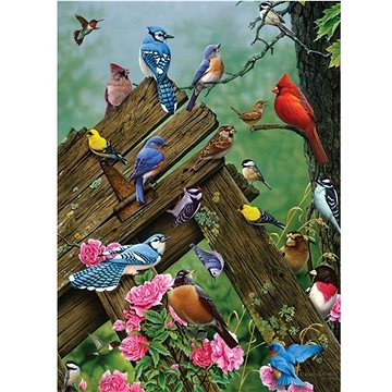 Cobble Hill Puzzle Lesní ptáci 1000 dílků (625012800860)