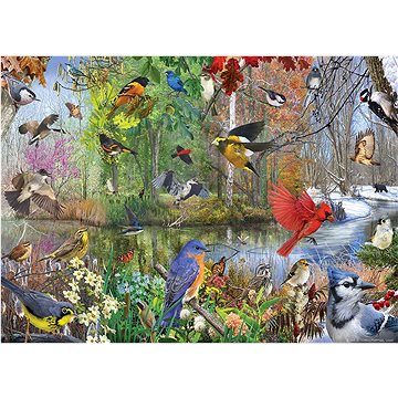 Cobble Hill Puzzle Sezónní ptactvo 1000 dílků (625012802437)