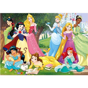 Educa Puzzle Disney Princezny 500 dílků (8412668177239)