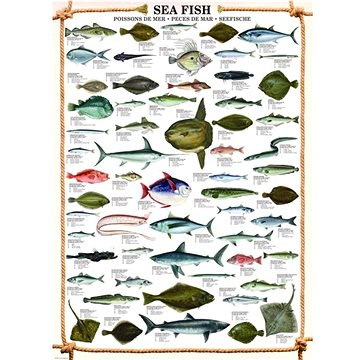 Eurographics Puzzle Mořské ryby 1000 dílků (628136603133)