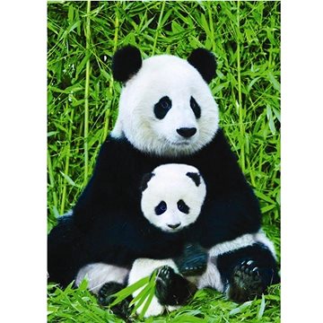 Eurographics Puzzle Panda a mládě 1000 dílků (628136601733)