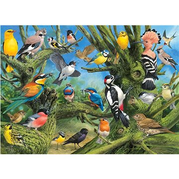 Eurographics Puzzle Ptáci v zahradě 1000 dílků (628136609678)