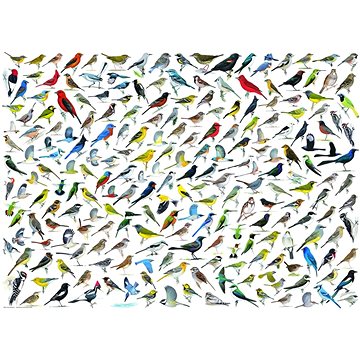 Eurographics Puzzle Svět ptáků 1000 dílků (628136608213)