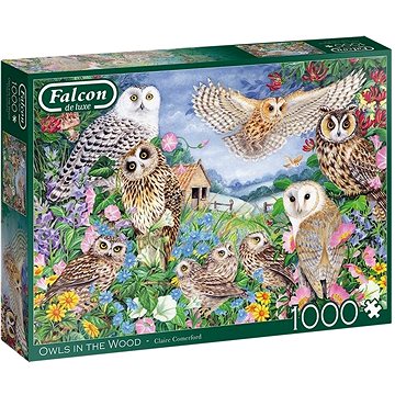 Falcon Puzzle Sovy v lese 1000 dílků (8710126112861)