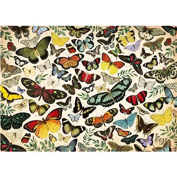 Jumbo Puzzle Plakát s motýly 1000 dílků (8710126188422)