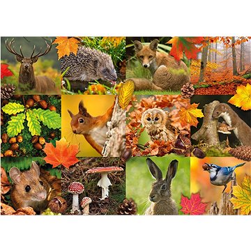 Jumbo Puzzle Zvířata na podzim 1000 dílků (8710126188637)