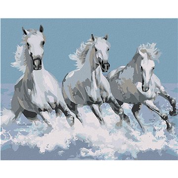 Malování podle čísel - Bilí koně (HRAbz33176nad)