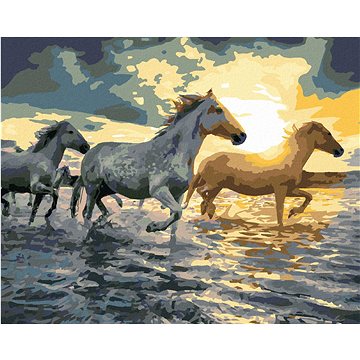 Malování podle čísel - Koně ve vodě (HRAbz33180nad)