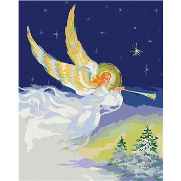 Malování podle čísel - Vánoční anděl se zlatými křídly (HRAbz33183nad)