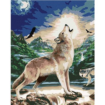 Malování podle čísel - Vyjící vlk (Howard Robinson) (HRAbz33393nad)