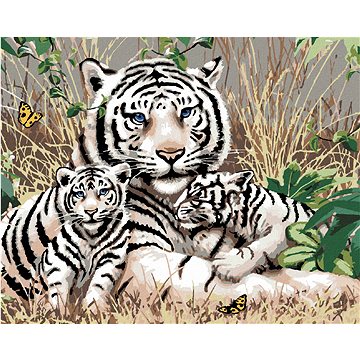 Malování podle čísel - Bílý tygr a mláďata v trávě (Howard Robinson) (HRAbz33394nad)