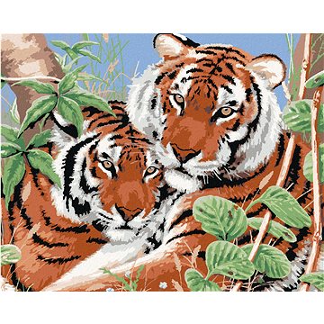 Malování podle čísel - Tygři dvojčata (Howard Robinson) (HRAbz33396nad)