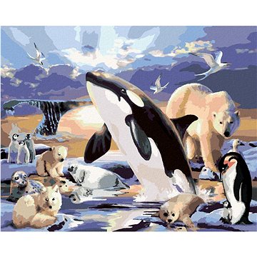 Malování podle čísel - Zvířata v polárním království (Howard Robinson) (HRAbz33400nad)